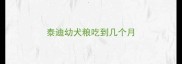 泰迪幼犬粮吃到几个月