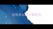 边牧怎么样才算陨石