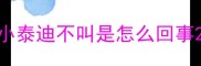 小泰迪不叫是怎么回事