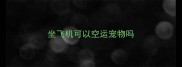 坐飞机可以空运宠物吗