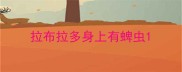 拉布拉多身上有蜱虫