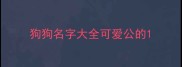 狗狗名字大全可爱公的