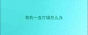 狗狗一直打嗝怎么办