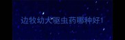 边牧幼犬驱虫药哪种好