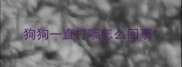 狗狗一直打嗝怎么回事