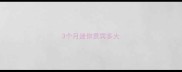 3个月迷你贵宾多大