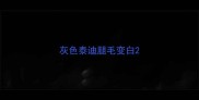 灰色泰迪腿毛变白