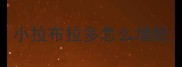 小拉布拉多怎么增肥