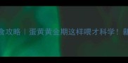 博美幼犬2月龄辅食攻略蛋黄黄金期这样喂才科学新手必看喂养指南