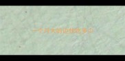 一个月大的边牧吃多少