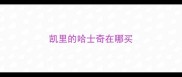 凯里的哈士奇在哪买