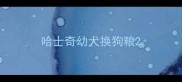 哈士奇幼犬换狗粮