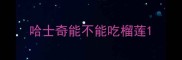 哈士奇能不能吃榴莲