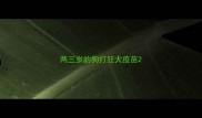 两三岁的狗打狂犬疫苗