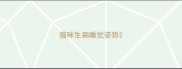 猫咪生病睡觉姿势