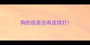狗的疫苗没有连续打