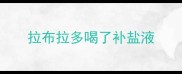 拉布拉多喝了补盐液