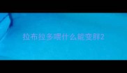 拉布拉多喂什么能变胖