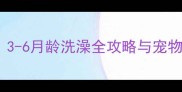 幼犬洗澡科学指南3-6月龄洗澡全攻略与宠物家长必读注意事项
