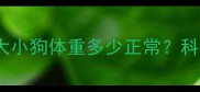 幼犬生长指南两个月大小狗体重多少正常科学喂养与疾病预防全