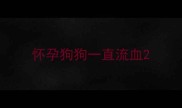 怀孕狗狗一直流血