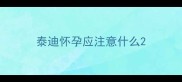 泰迪怀孕应注意什么