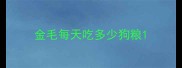 金毛每天吃多少狗粮