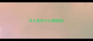 哈士奇吃什么牌狗粮