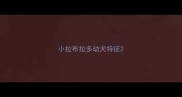 小拉布拉多幼犬特征
