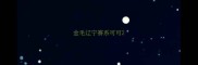 金毛辽宁赛系可可