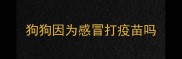 狗狗因为感冒打疫苗吗