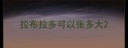 拉布拉多可以张多大