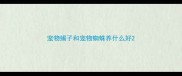 宠物蝎子和宠物蜘蛛养什么好