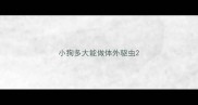 小狗多大能做体外驱虫