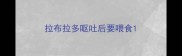 拉布拉多呕吐后要喂食