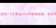 猫咪走丢了怎么找回5大黄金24小时救援指南助你高效寻回爱宠