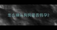 怎么确认狗狗是否假孕