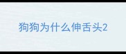 狗狗为什么伸舌头