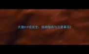 犬猫HIP疫苗全接种指南与注意事项