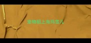 宠物貂上海玛雪儿