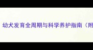 小狗出生后多久能走路幼犬发育全周期与科学养护指南附品种差异及健康预警