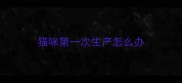 猫咪第一次生产怎么办