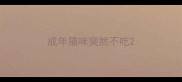成年猫咪突然不吃