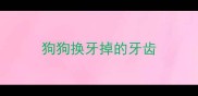 狗狗换牙掉的牙齿