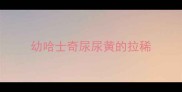 幼哈士奇尿尿黄的拉稀