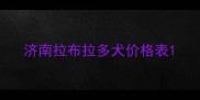 济南拉布拉多犬价格表