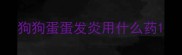 狗狗蛋蛋发炎用什么药
