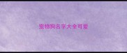 宠物狗名字大全可爱