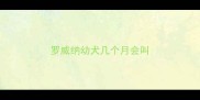 罗威纳幼犬几个月会叫