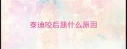 泰迪咬后腿什么原因